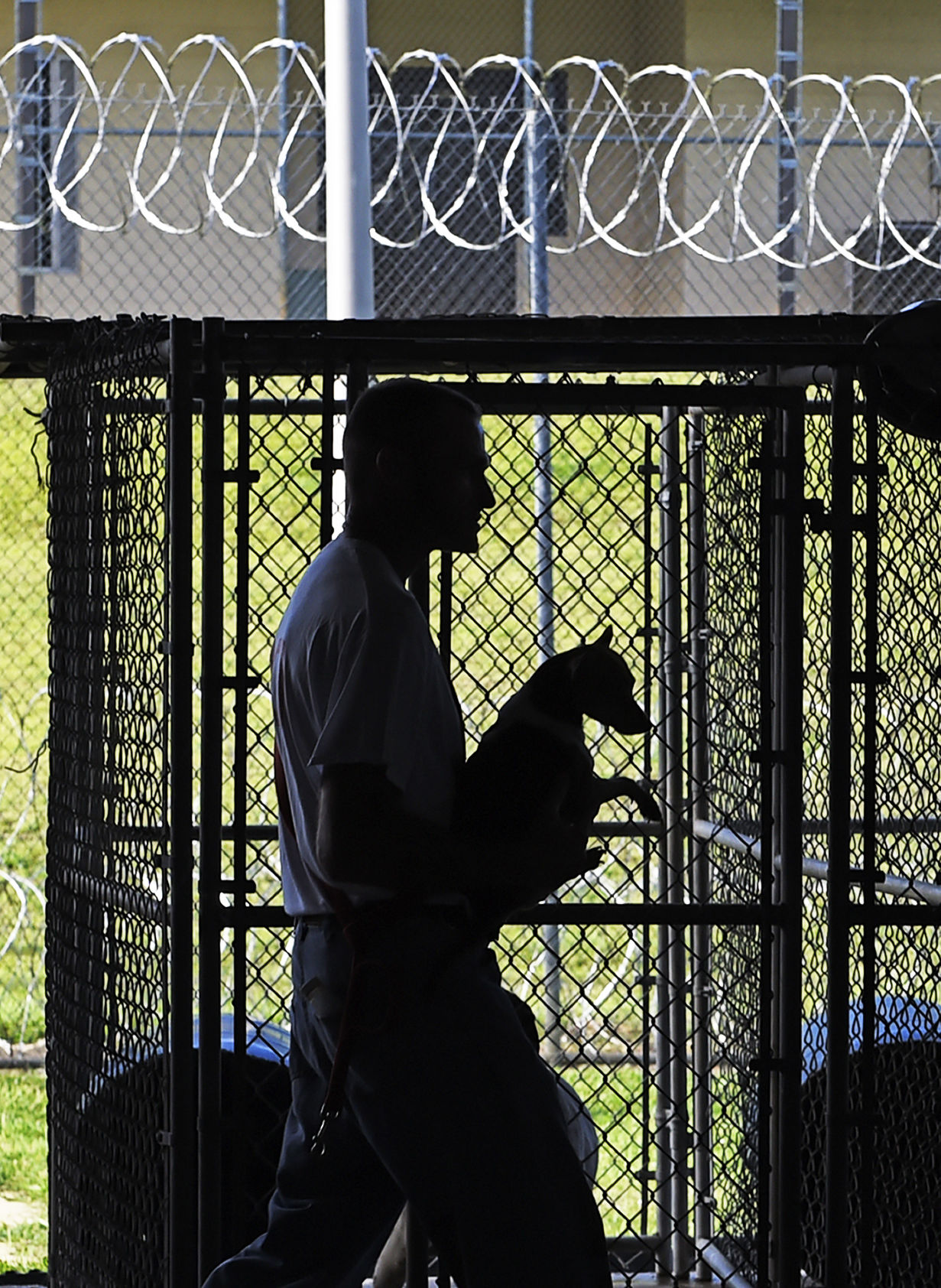 BR.prisondogs0138.070619 bf.jpg